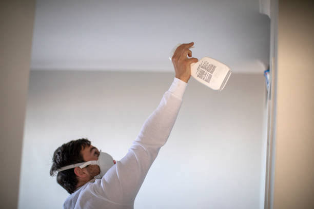 Best Commercial Mold Removal  in Kalona, IA