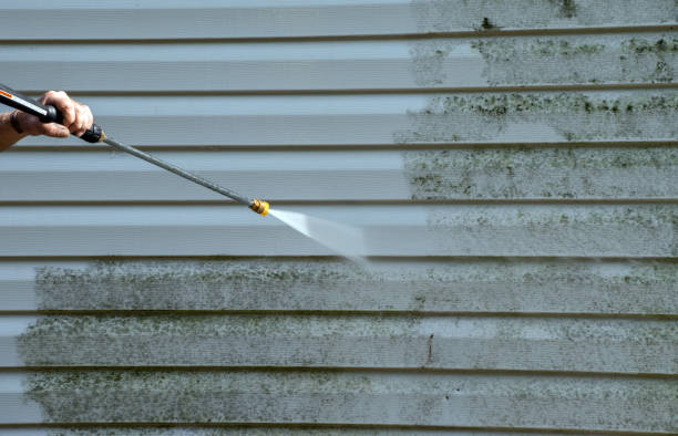 Best Residential Mold Removal  in Kalona, IA