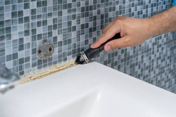 Best Mold Removal Specialists  in Kalona, IA